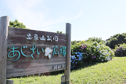 IMG_0234.png