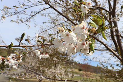IMG_5670.png