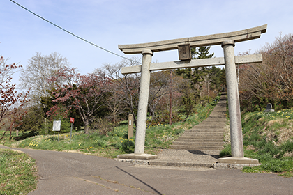 IMG_5672.png