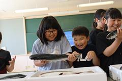 IMG_7014.jpg7.jpg