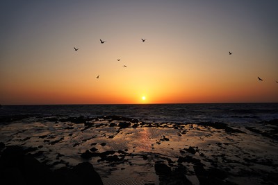 せたなの夕日