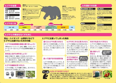 ヒグマについて | 水産・林務 | せたな町公式サイト － 北海道久遠郡せ