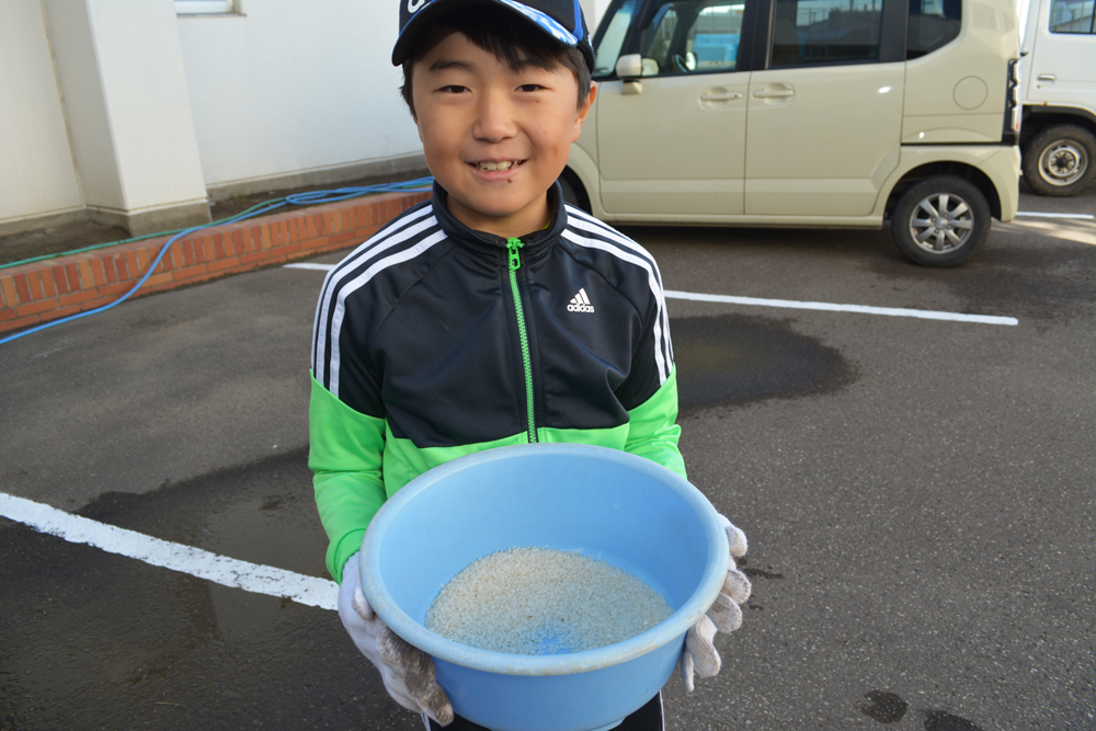 稲の脱穀精米体験