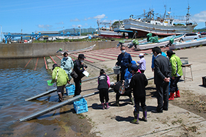 町内の各漁港でニシンの稚魚放流体験が実施されました 広報見聞録 せたな町公式サイト 北海道久遠郡せたな町