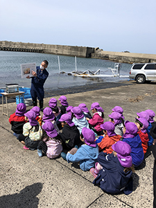 町内の各漁港でニシンの稚魚放流体験が実施されました 広報見聞録 せたな町公式サイト 北海道久遠郡せたな町