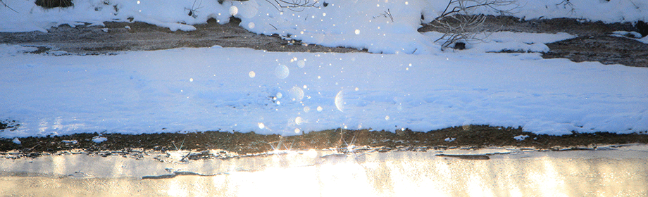 樹氷の目名川