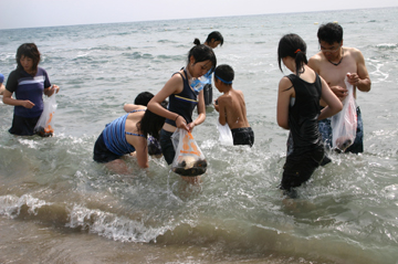平浜海水浴場で貝まきが行われました 広報見聞録06年度バックナンバー せたな町公式サイト 北海道久遠郡せたな町 平浜海水浴場で貝まきが行われました 広報見聞録06年度バックナンバー せたな町公式サイト 北海道久遠郡せたな町
